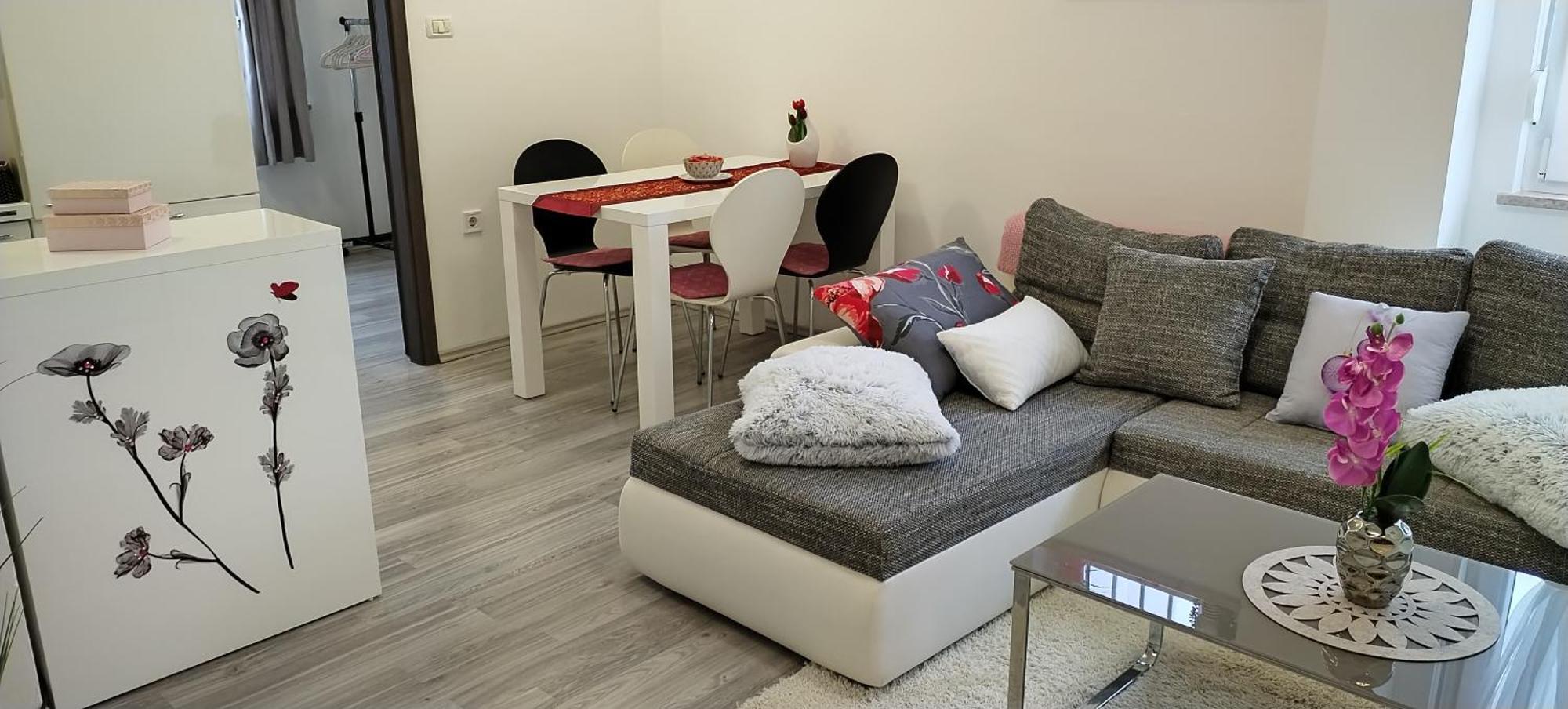 Apartments Mary & Free Parking 罗维尼 客房 照片