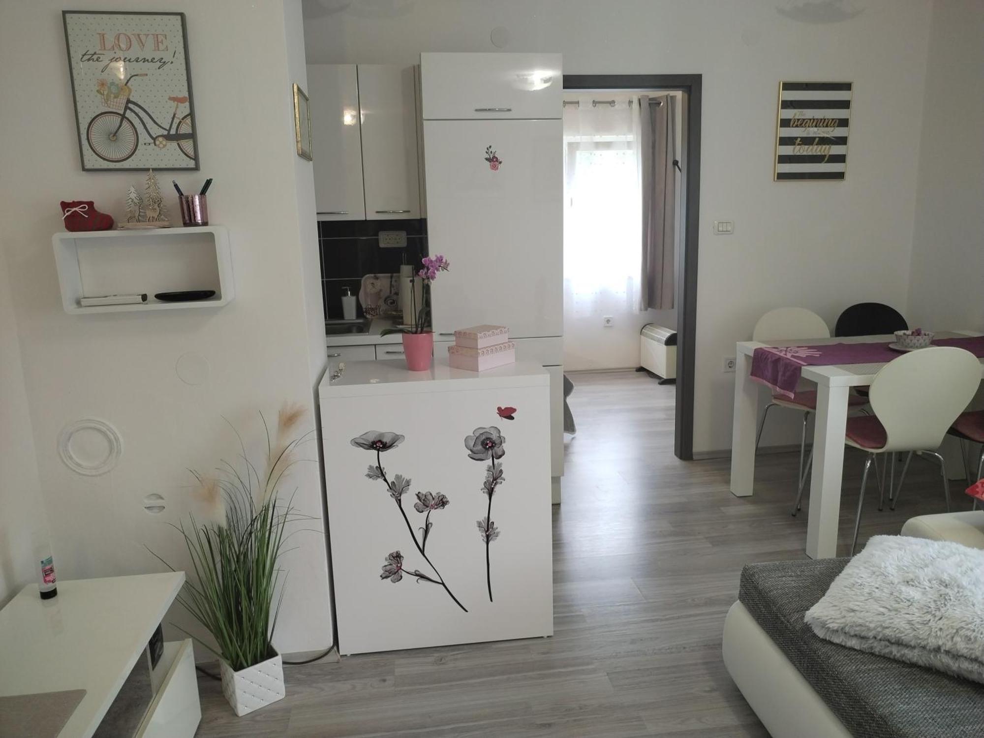 Apartments Mary & Free Parking 罗维尼 客房 照片